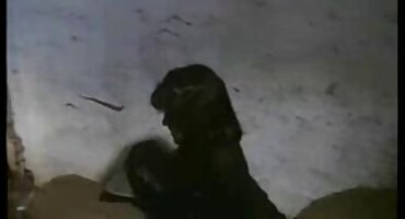 sex vietsub dâm Brunette hút vòi nước dày. sexkoche